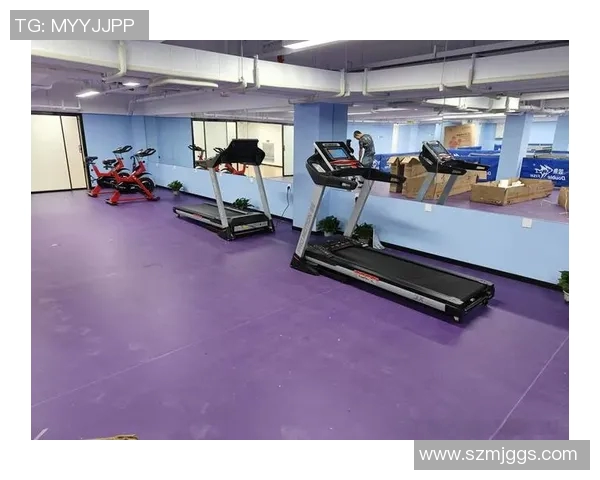 全面提升身体素质的健身器材推荐与使用指南