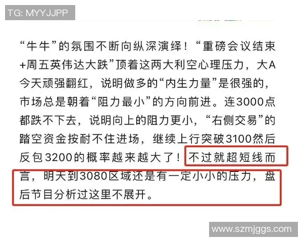 武汉极限运动队的节奏得失分析与未来发展方向探讨