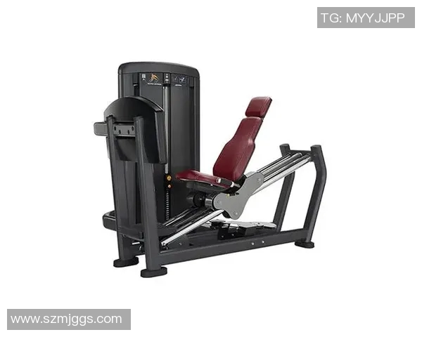 美国力健健身器材图片：展示美国力健品牌健身器材的经典款式